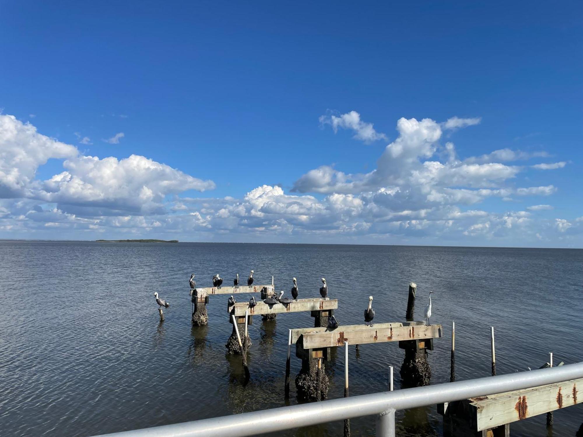 Cedar Key Florida Condo At Park Place Exterior photo