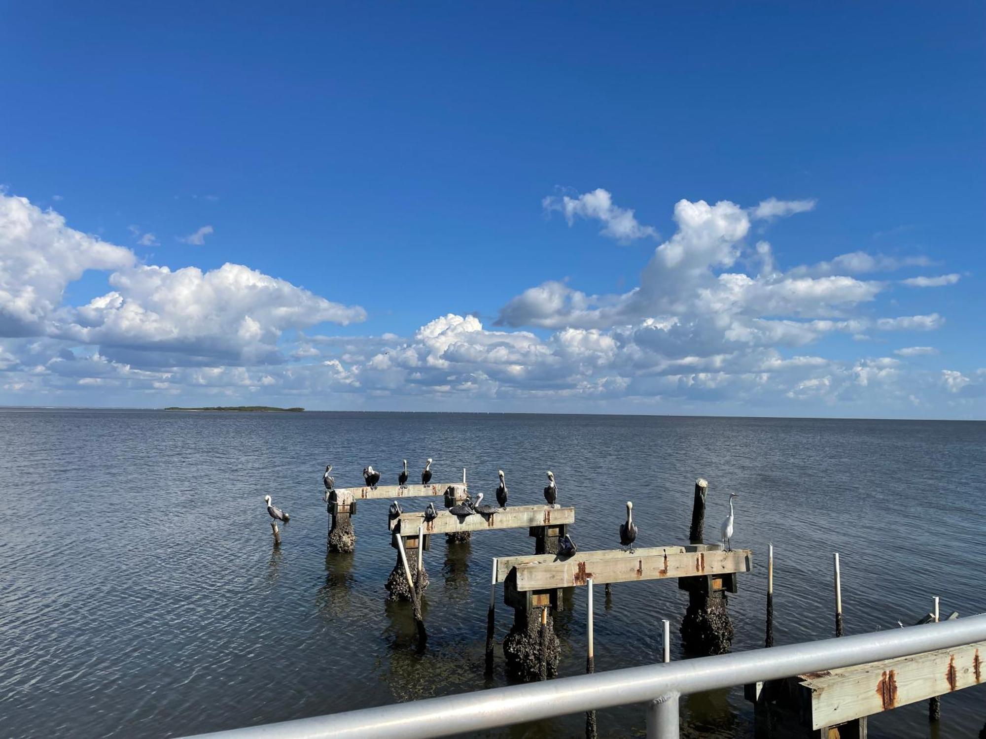 Cedar Key Florida Condo At Park Place Exterior photo